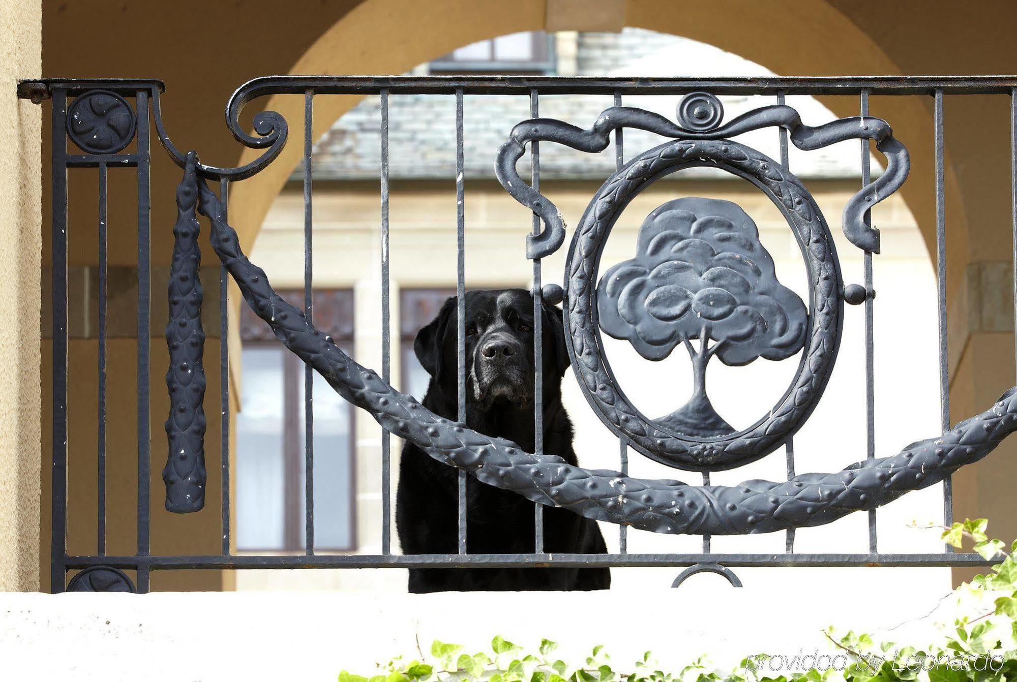 Oheka Castle Hotel & Estate 亨廷顿 外观 照片